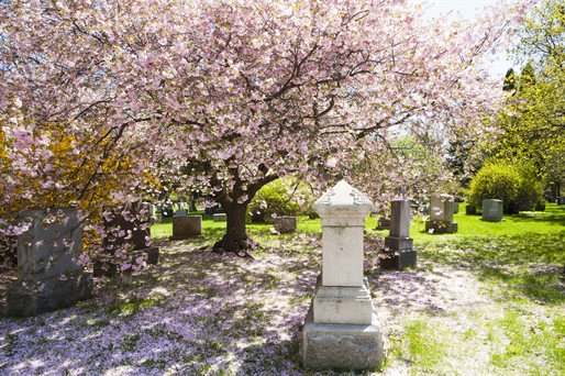 cemeteries Hamilton Township, NJ